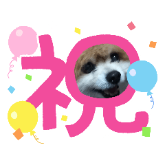 hikaru_20220908205700