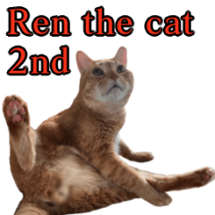 Ren the cat 2nd