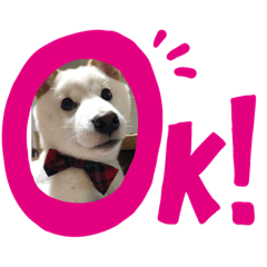 Sayuri_20220908225114