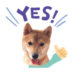 hikari_20220909101232