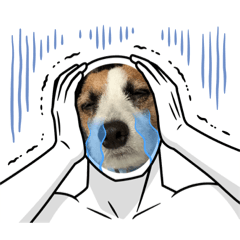 mydogs.old and yonug.