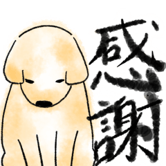 Japanese Labrador Retriever
