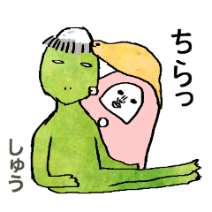 shuu tsuchinoko&daruma