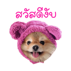 dew_20220909125256 – LINE stickers | LINE STORE