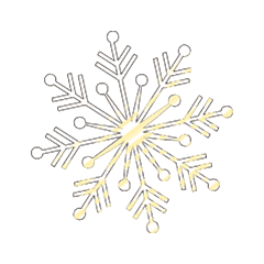 Colorful SNOW_3_81
