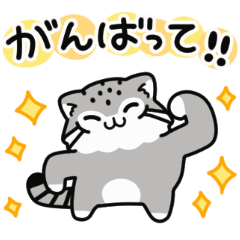 Loosely Manul cat13