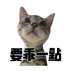 陳國揚生日快樂