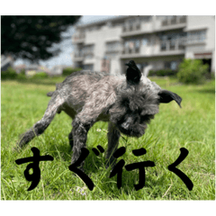 momoko_20220909165812