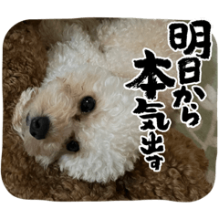 Natsumi_20220909172241