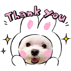 咖啡牛奶姐妹花日常