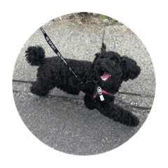 momoko_20220910024622