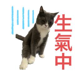 啾啾&蛋蛋❤️