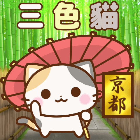 京都三色貓♪動起來