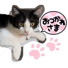 Rina_20220909194235