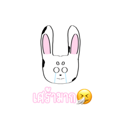 cute rabbit_20220909185617