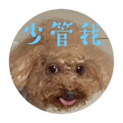 我是米奶～