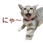 satsumarinrin_20220909214541