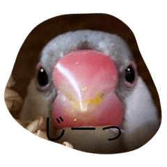 mugichannano