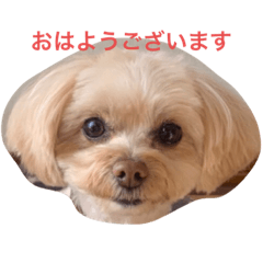 YUKA_20220910104646