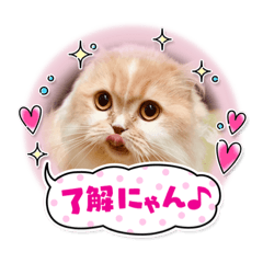 AOI_20220909224339