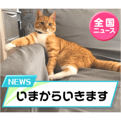 Omochi_20220910095931