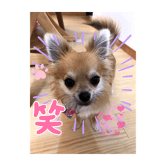 rinrin_20220910120047