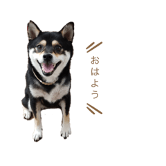 Tomomi_20220910125426