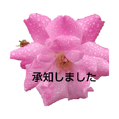 me-ri-_20220910130109