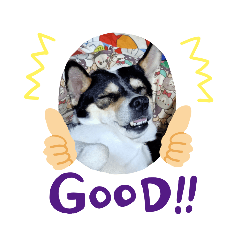 suni family_20220909201217 - LINE スタンプ | LINE STORE