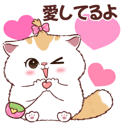Pumpoy Cat ( Merit ) : V. Japan