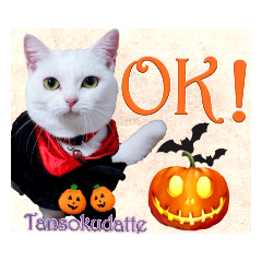 Happy Halloween!Colorful stikers of cats