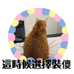 丹麥有話跟你說01