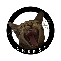 THAT CHEESE CAT