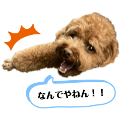 YUKARI_20220910185846