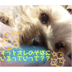 momoko_20220910201325