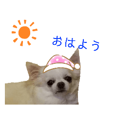 misa_20220910183227