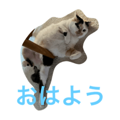 YUKA_20220910202915