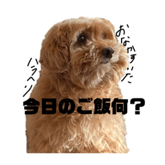 Yun_20220910211341