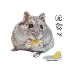 Konpei march cute sticker