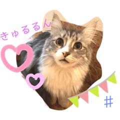 alice_20220910233941