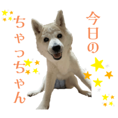 Shiho_20220911111645