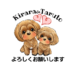 kirara_20220910221009