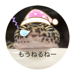 yun_20220911124140