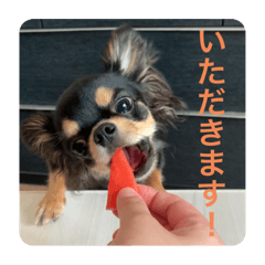 yukari_20220911150144