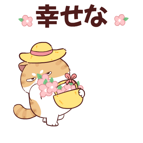 Sumo Cat 5 (v.Japan)