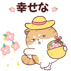 Sumo Cat 5 (v.Japan)