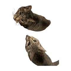 hikaru_20220911181455