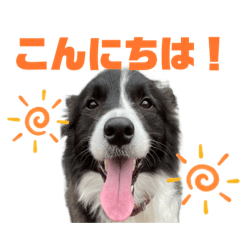 Tommy_20220911194703
