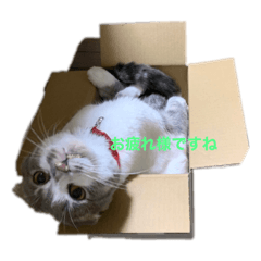 jin_20220912084558