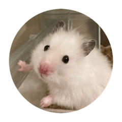 omochi_20220911192115